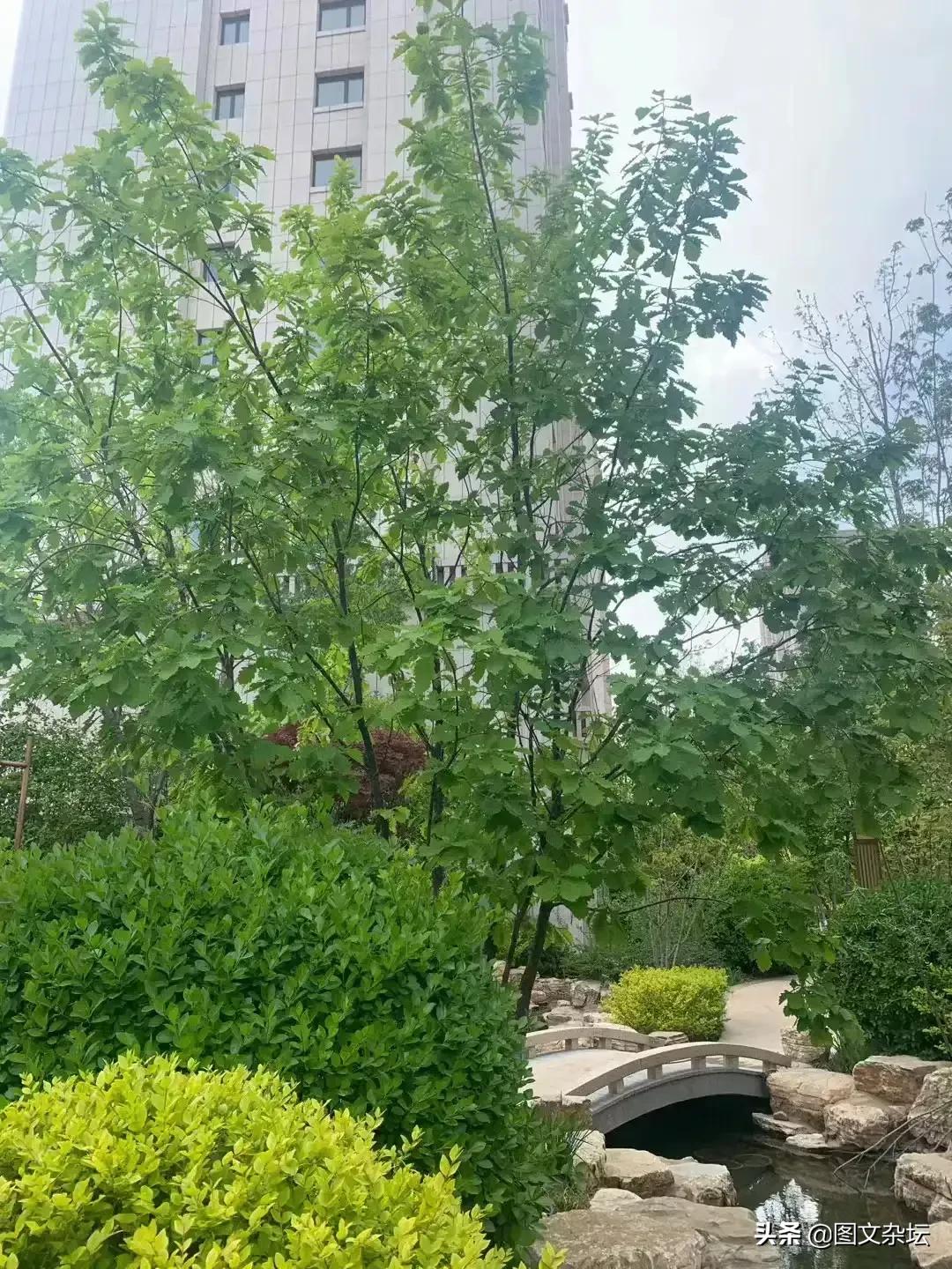 老婆赌钱输光被丈夫打,当老婆赌博输了该怎么安慰