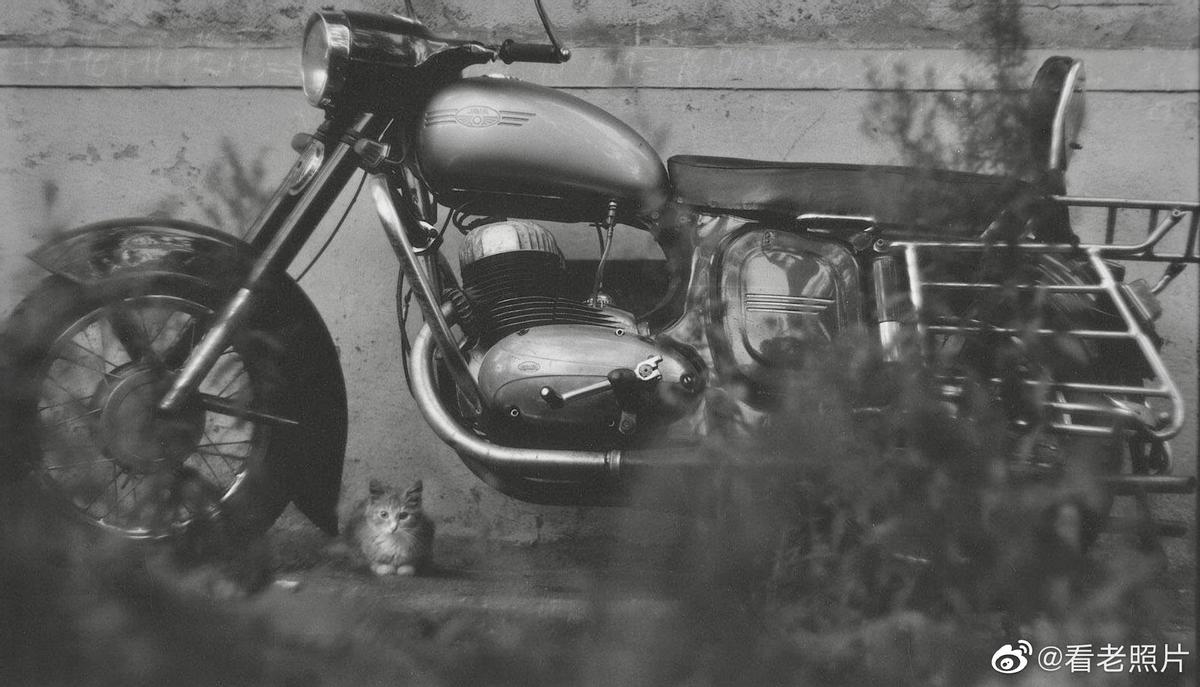 集中营惨状:30张老照片揭示妇女衣不遮体的悲惨命运!