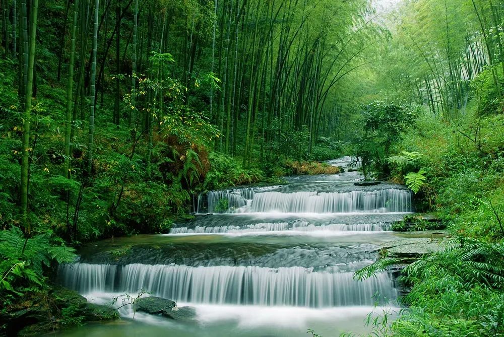 逛吃逛吃逛吃，跟着动车出发3.0