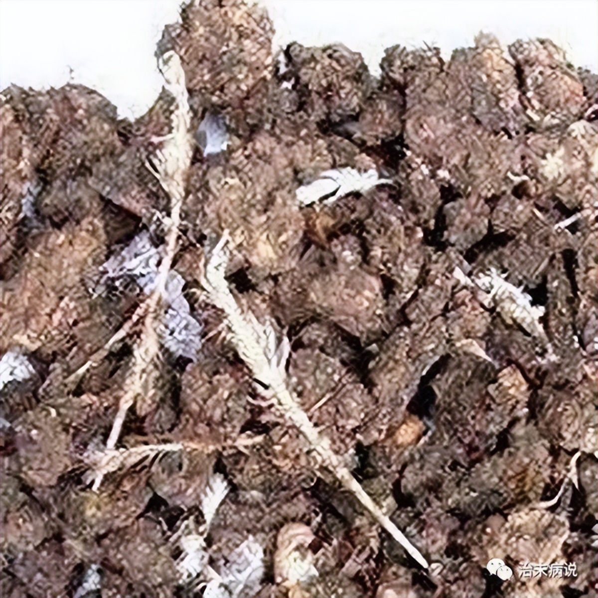 鸡肉有营养又好吃的炖法,鸡肉治什么病最好