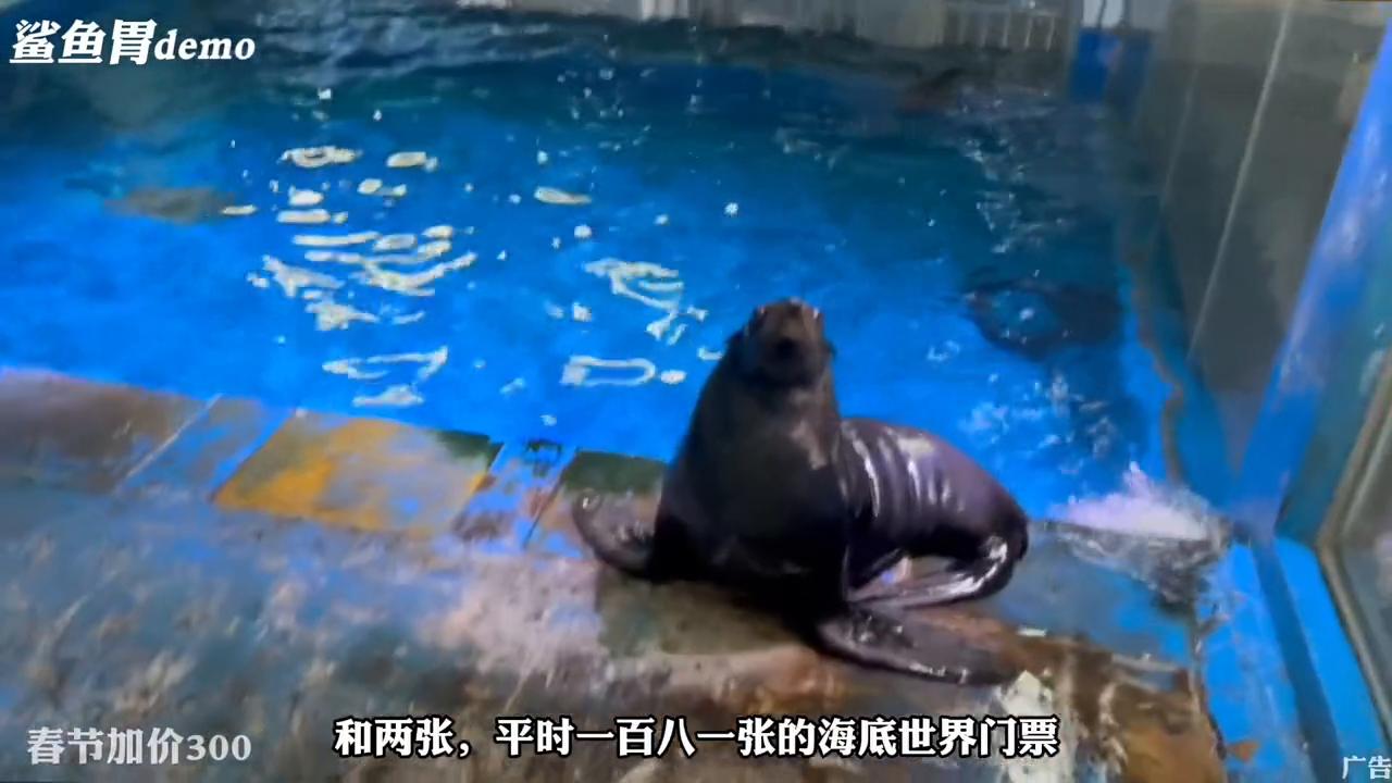 南京钟山风景区一日游最佳路线,南京钟山旅游一天必玩三大景点