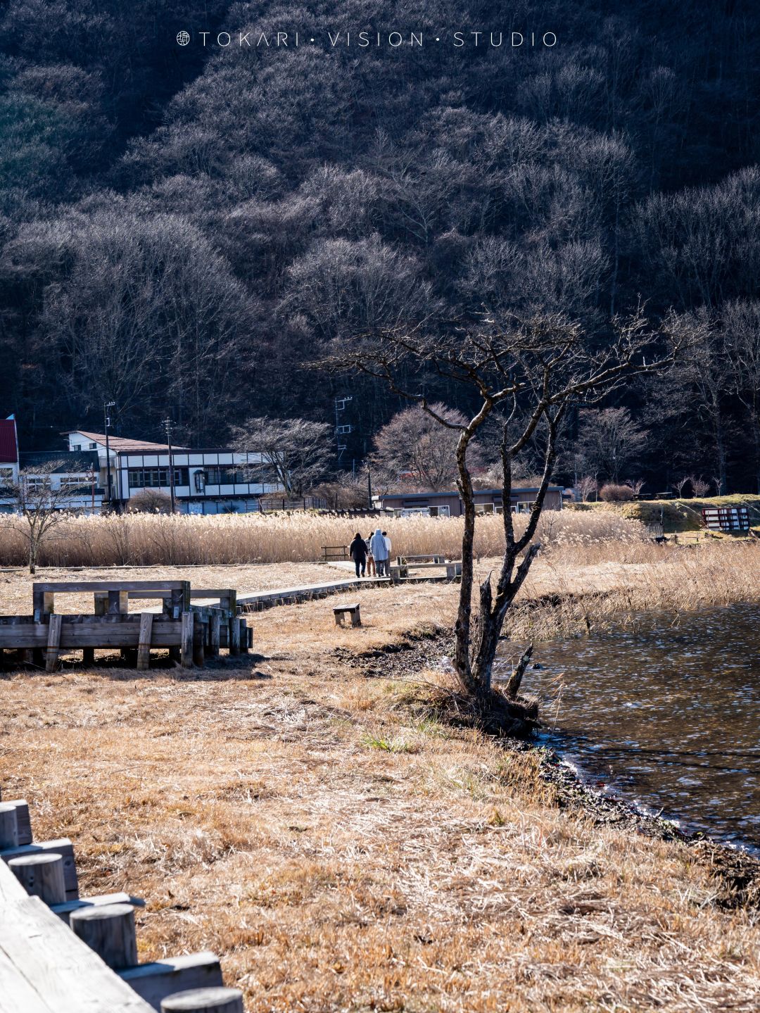 日本旅行跟团游东京北海道,日本旅行中文团