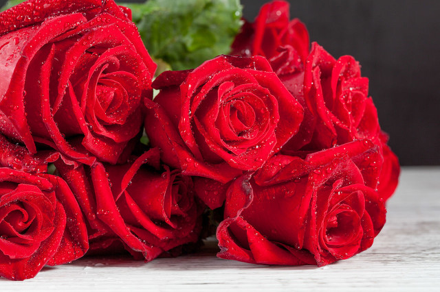 关于玫瑰花的古诗词有哪些,带有玫瑰花的古诗词