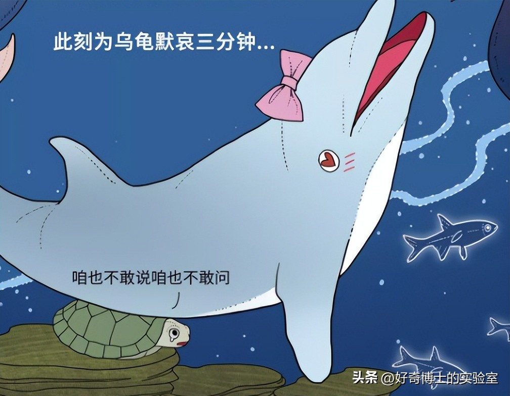 动物是怎么飞起来的,动物怎样飞行时感觉方向