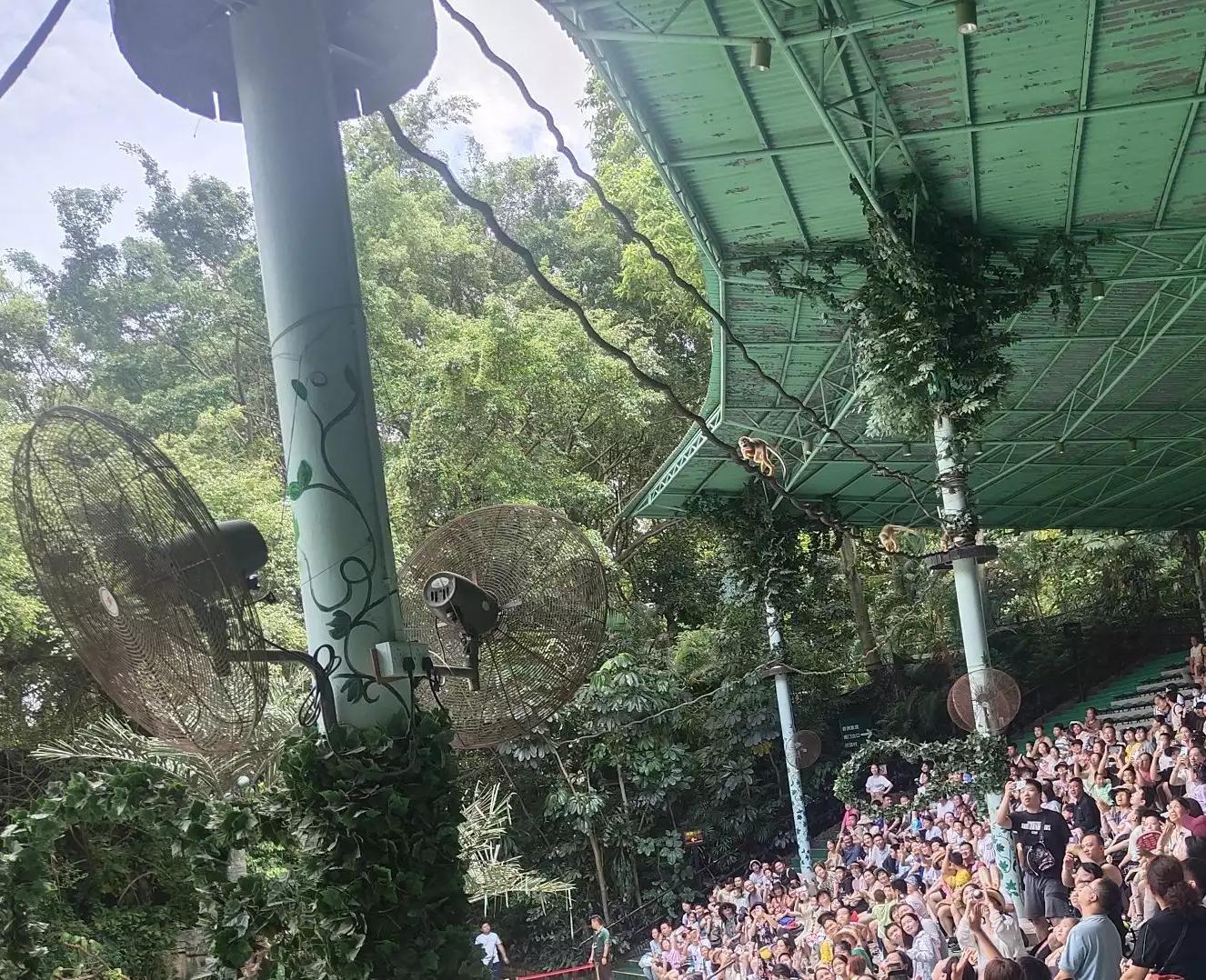 广州长隆野生动物园面积,长隆野生动物园在哪个区