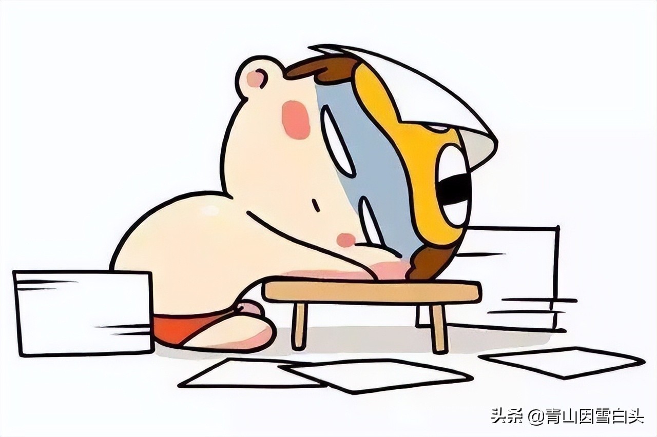 种树植树节,植树节种树的过程