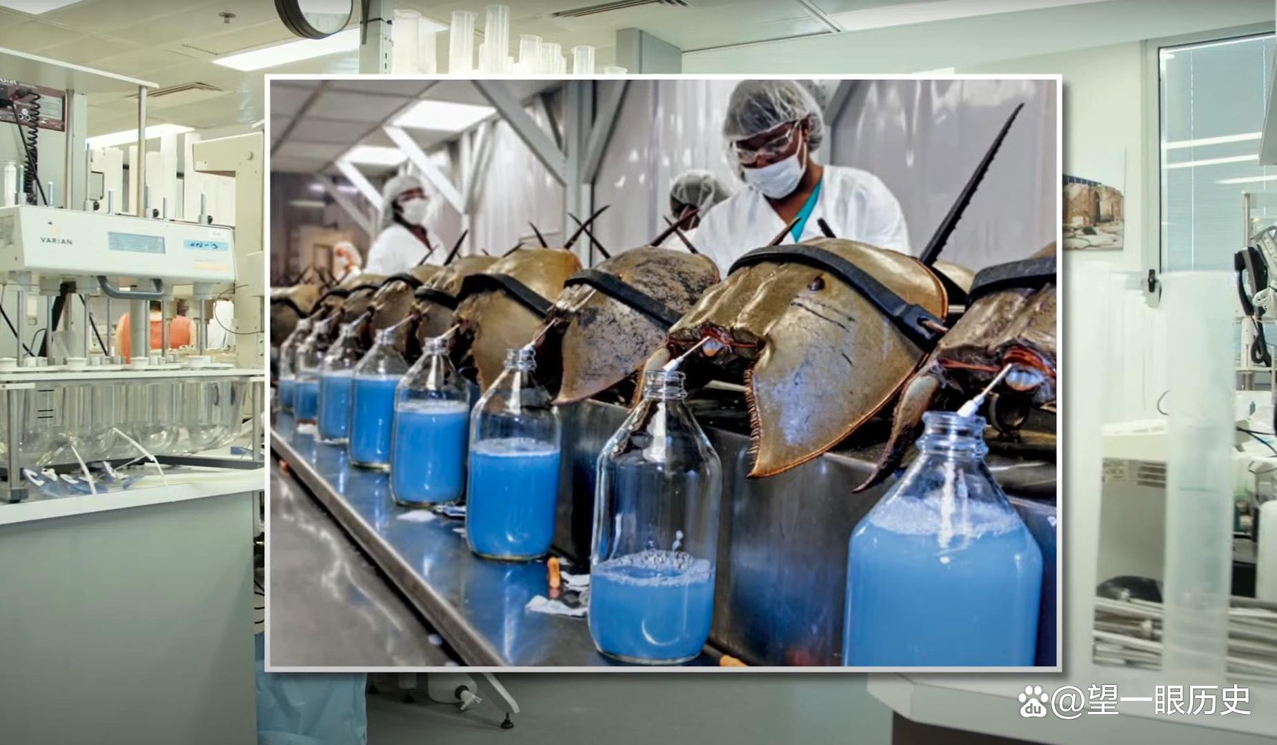 世界上最昂贵的液体，每升的血液值多少钱？告诉你答案