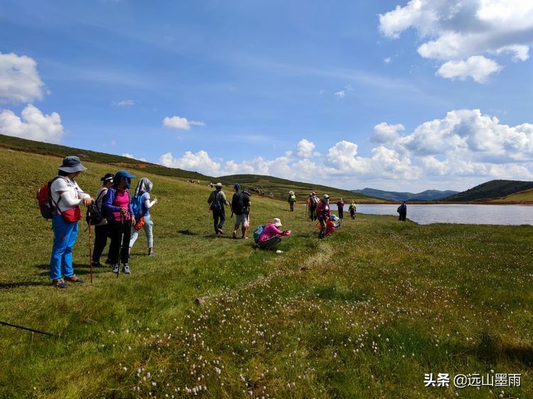 蓝天白云绿草间,蓝天白云草原绿草茵茵风景秀丽