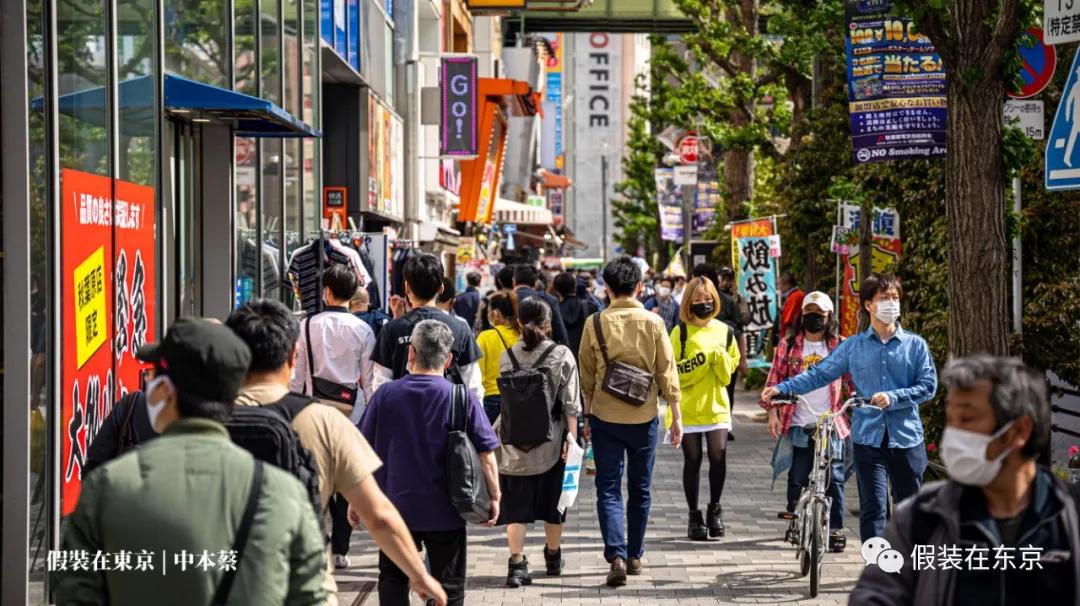 365张照片回顾,365张相片