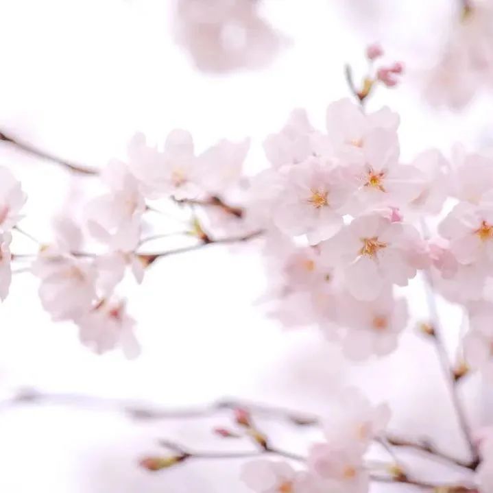 快上车app官网,快上车在哪设置