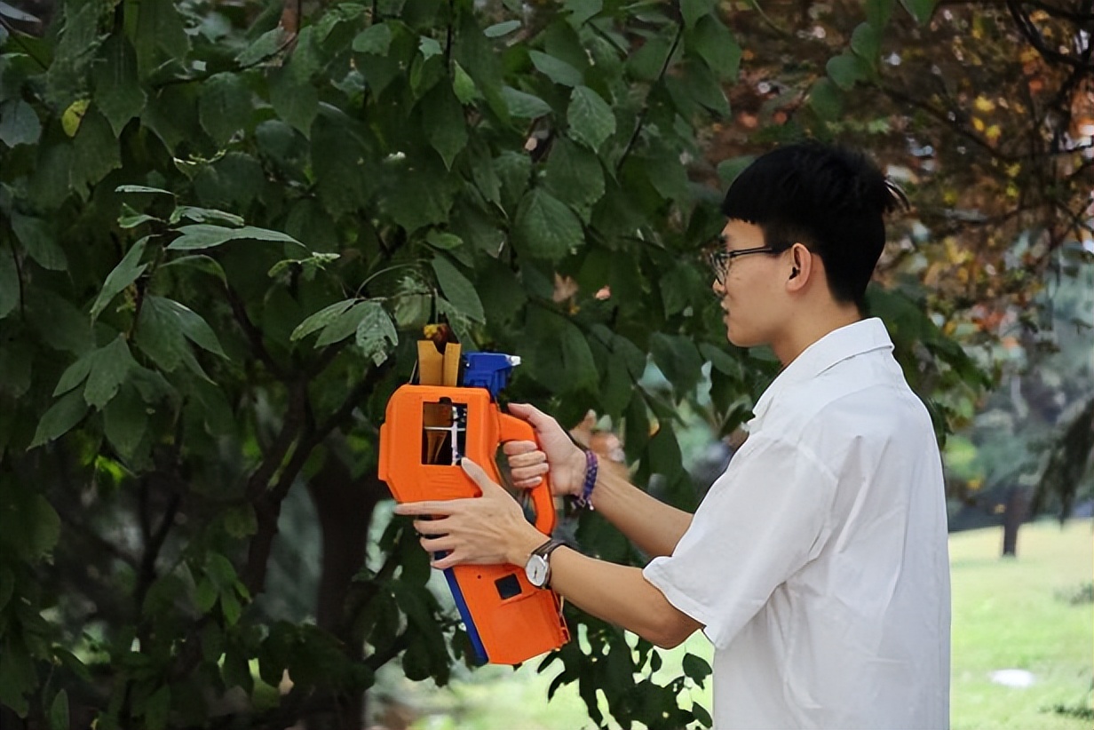 喜报获得金奖,喜报省特等奖