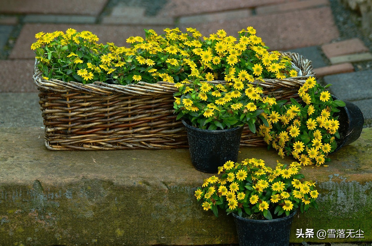 和女人聊天高情商说话攻略,和女人聊天如何抓住对方的内心