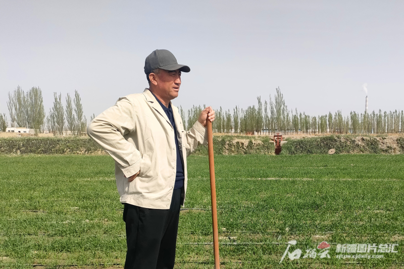 农民专业生产合作社成功案例,农民合作社的故事案例分享