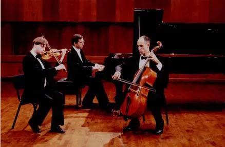 西洋管乐器里的拉弦乐器三种,西洋管弦乐器大提琴简介