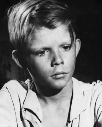 法国电影《禁止的游戏》，通过对二战的描述给予人们什么样的启发