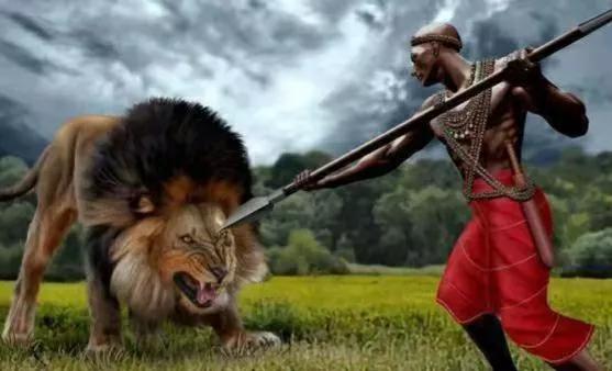 非洲什么族杀狮子最厉害,哪个国家成人礼是单杀一头狮子