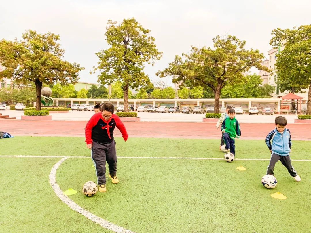 东莞市塘厦镇林村小学校园,东莞市塘厦镇林村小学
