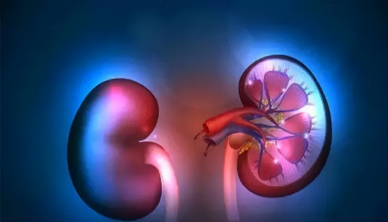 肾虚一直喝补药能好吗,肾虚吃补肾药为什么反而更严重