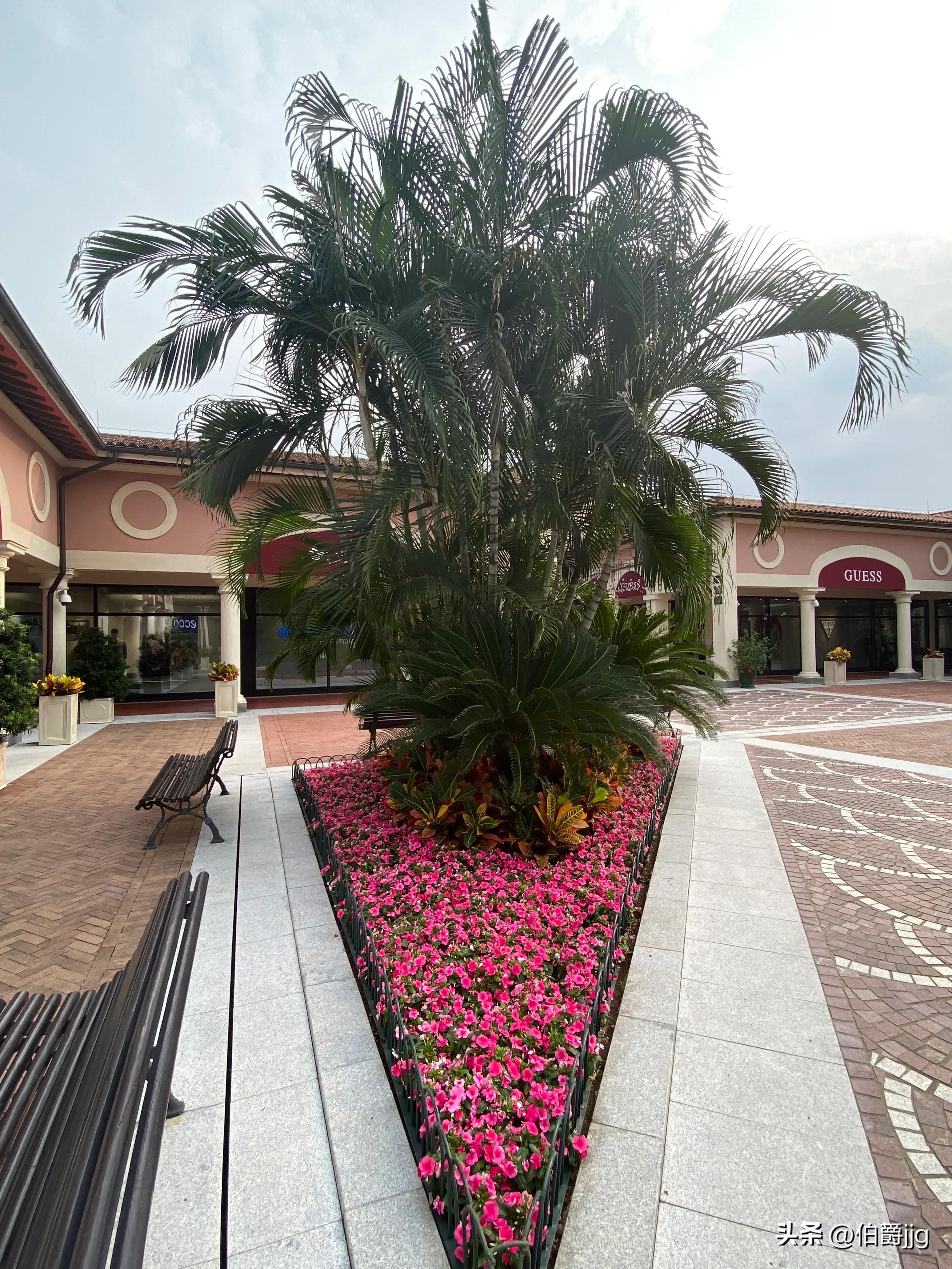 佛罗伦萨小镇游玩攻略2024,佛罗伦萨小镇报销高铁票