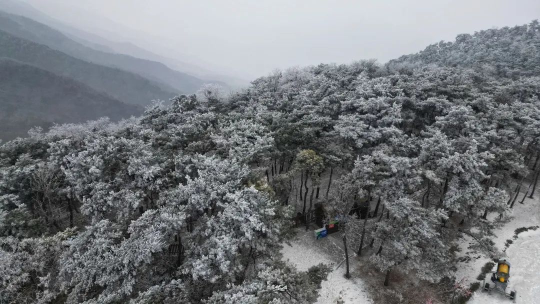 冬天的济南美丽雪景,济南的冬天平常与不平常的冬景