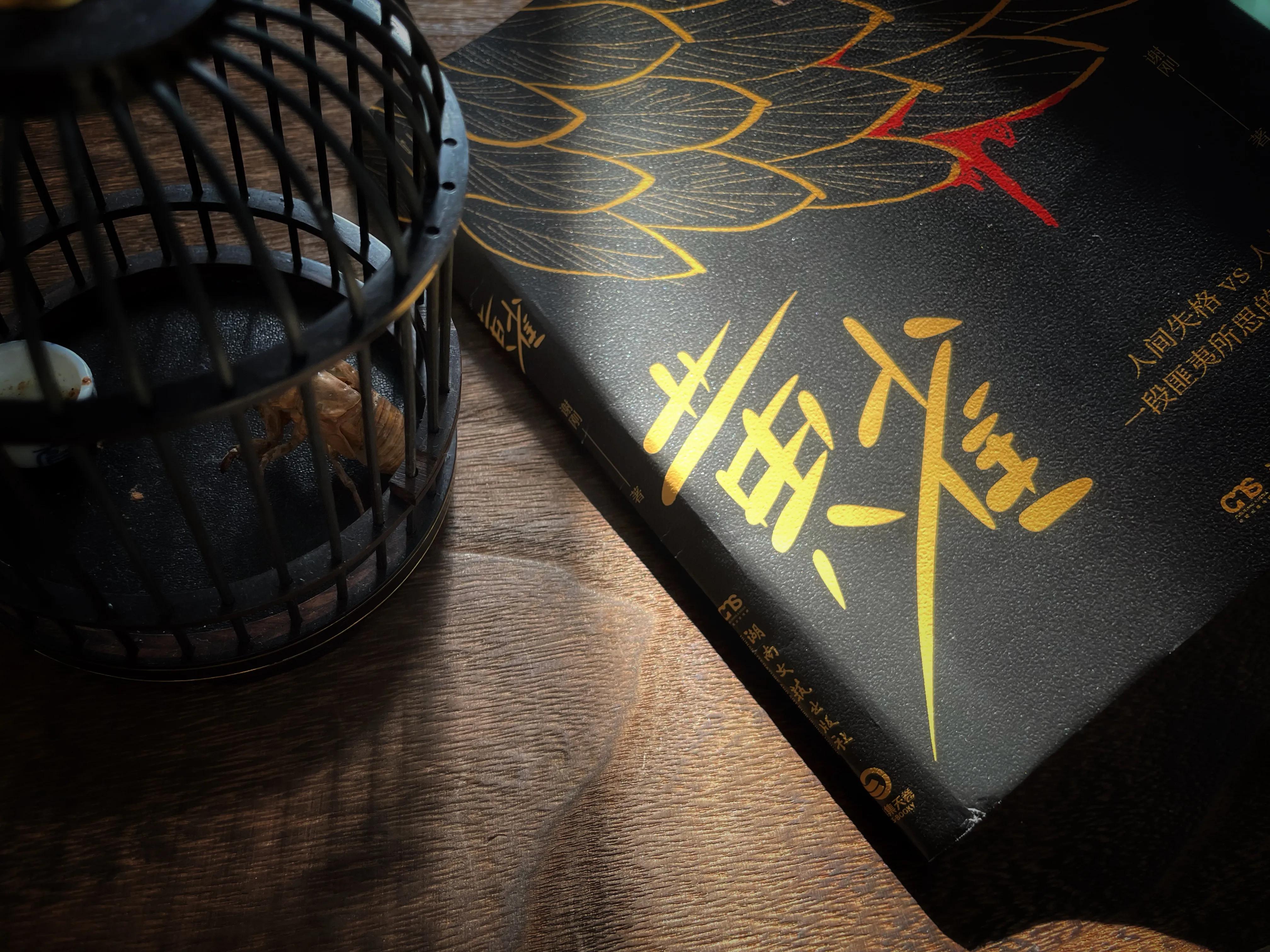 碎尸案小说一口气看完,杀人碎尸悬疑小说一口气看完