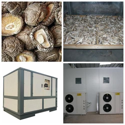 小型家用蘑菇烘干机价格,大型蘑菇烘干机