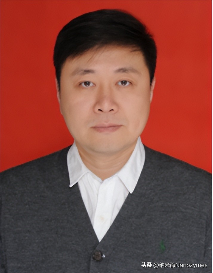 「转载」Angew.Chem.Int.Ed.|Cu单原子纳米酶用于光热疗法