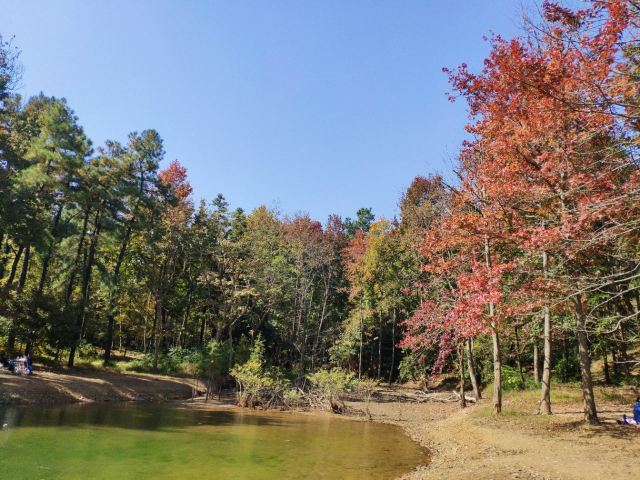 杭州周边赏秋好去处,杭州赏秋最佳攻略