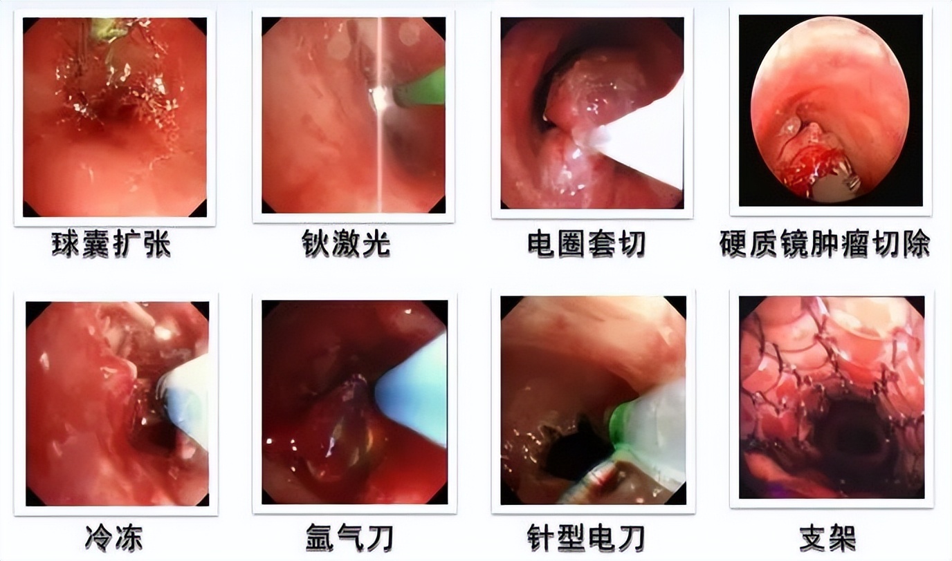 唐都医院金发光教授出诊,金发光医生简介