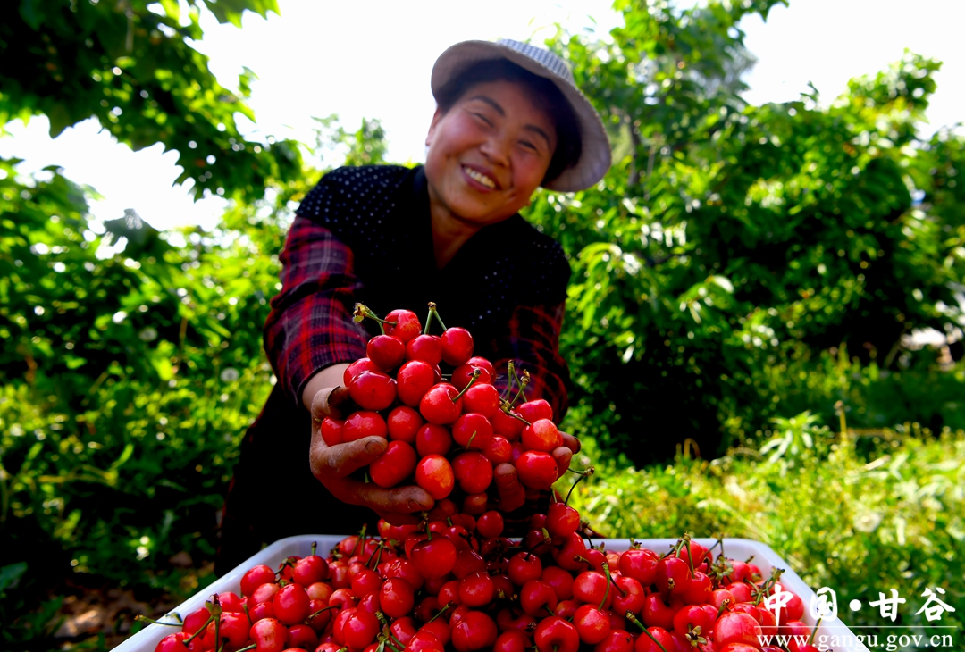 甘肃甘味农产品推介,甘谷发展特色产业助力乡村振兴
