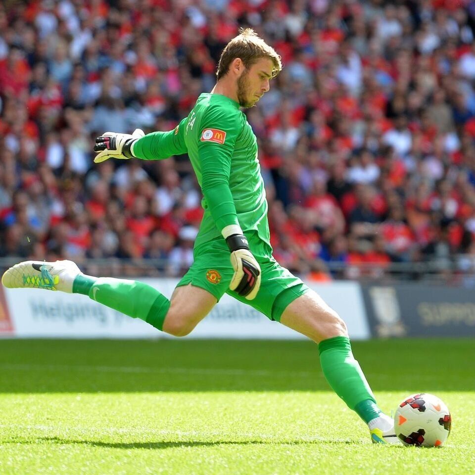目前最牛的几个国家足球守门员,现役最棒的足球守门员是谁