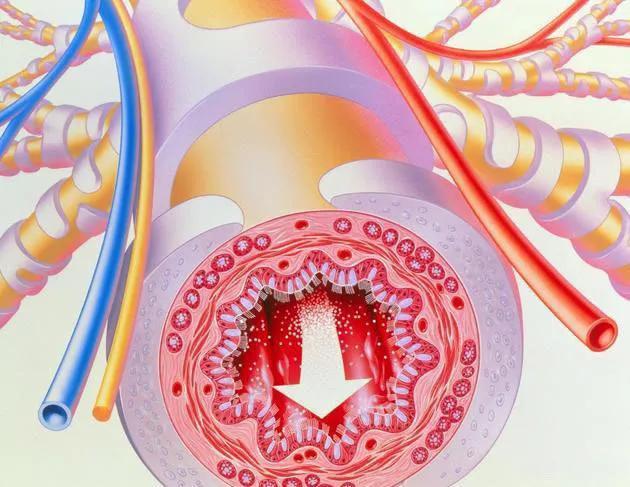病毒感冒咳嗽不止怎么办,感冒咳嗽不止服什么药较好