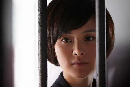 柳云龙的名字含义,柳云龙最像什么人