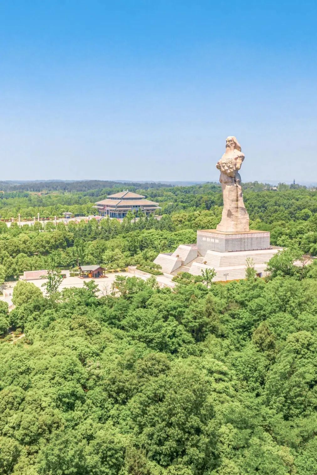 最好的湖北茶,值得收藏的绿茶口粮茶