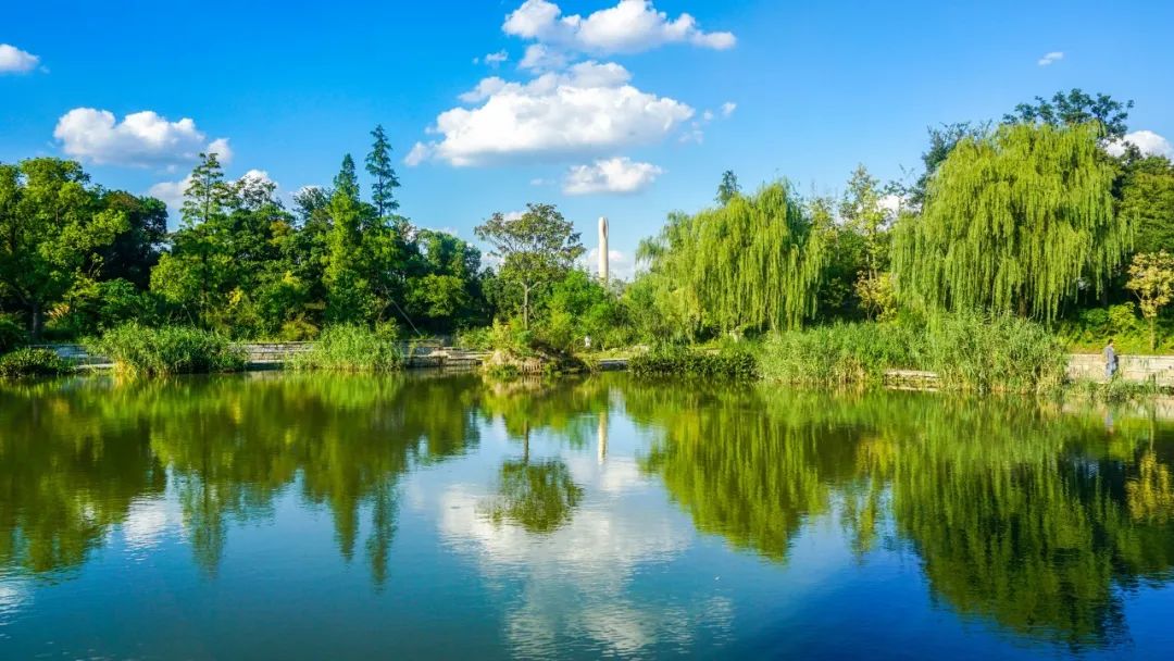 大雪诗句古诗词陆游,陆游最好的十首诗词冬夜
