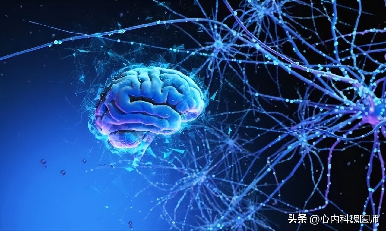 中老年人脑萎缩最好的恢复方法,老年人得了脑萎缩怎么办