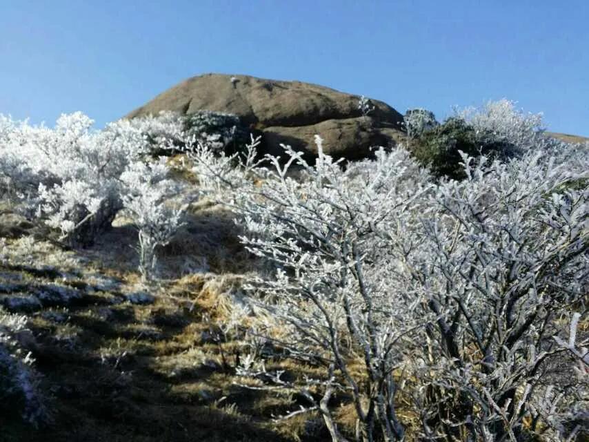 游黄山的经历,第一次旅行黄山