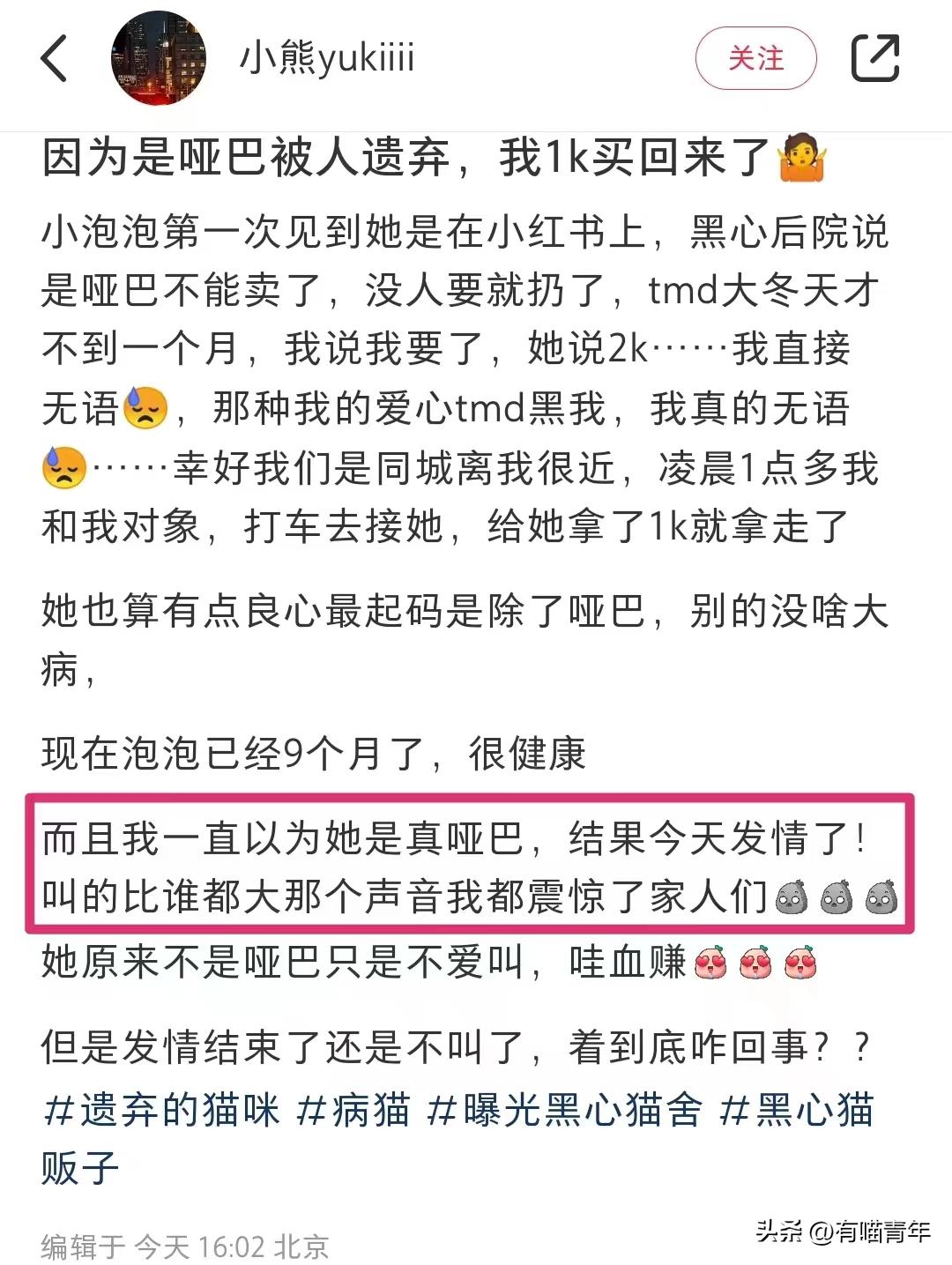免费领养一只品种猫，猫死后强行要我买猫粮，赔3000