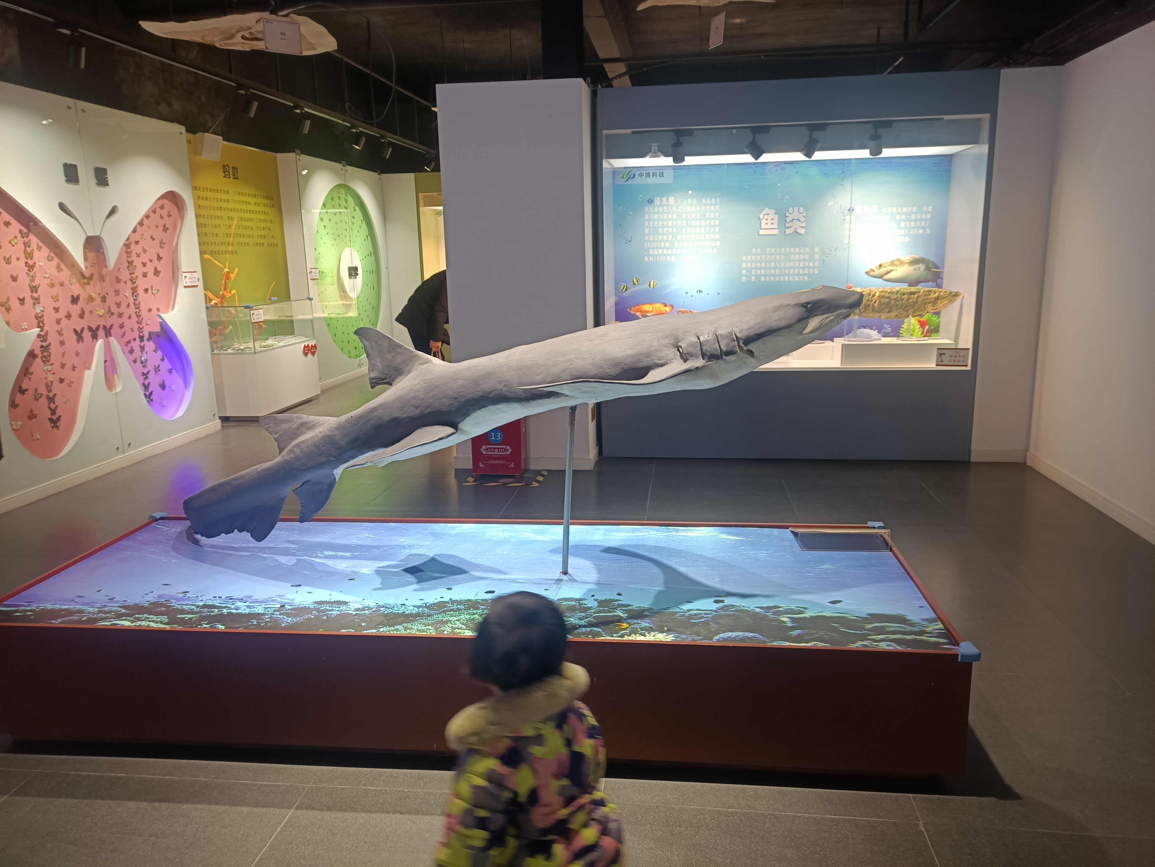 郑州室内旅游攻略必去景点,郑州景点室内游玩攻略