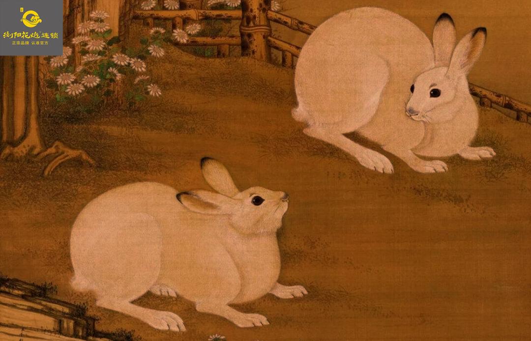 生肖兔的民俗与科学文化艺术,先生讲生肖兔