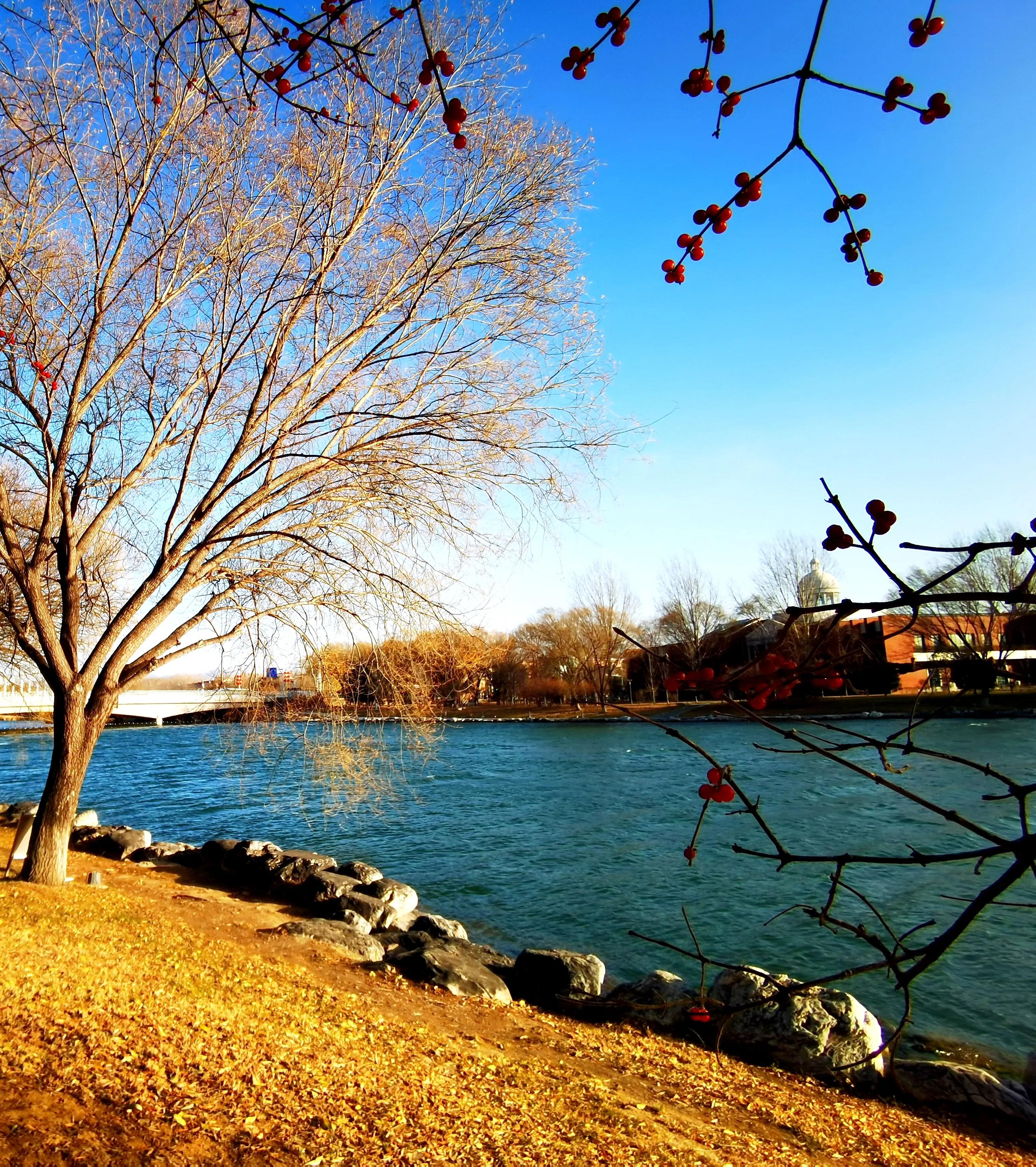 小孩的成长环境对孩子的影响,生活和学习环境影响孩子成长成语