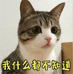 猫咪洗澡可以缓解掉毛吗,猫咪掉毛很严重补充什么维生素