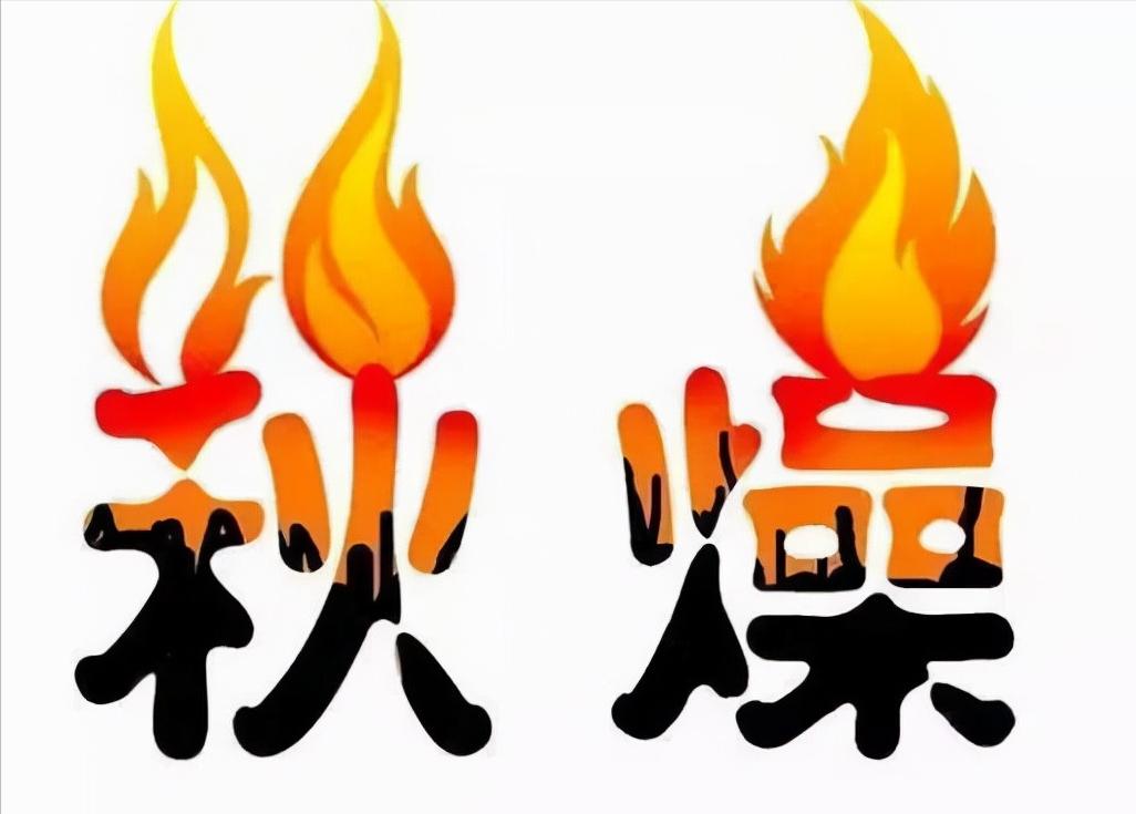 中医辨证论治体系,中医四诊八纲脏腑学说