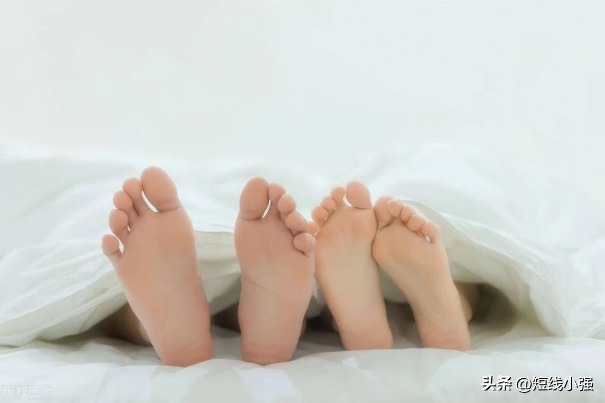 小强头条新闻,今日小强新闻快讯