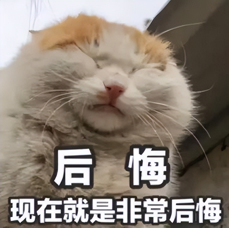 撞坏一个迈腾大灯多少钱,车大灯撞坏了多少钱一个