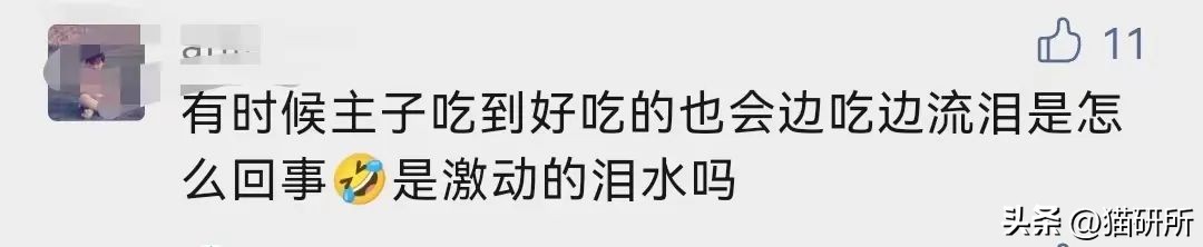 猫咪吃饭眼泪汪汪,猫咪吃饭流眼泪是为什么