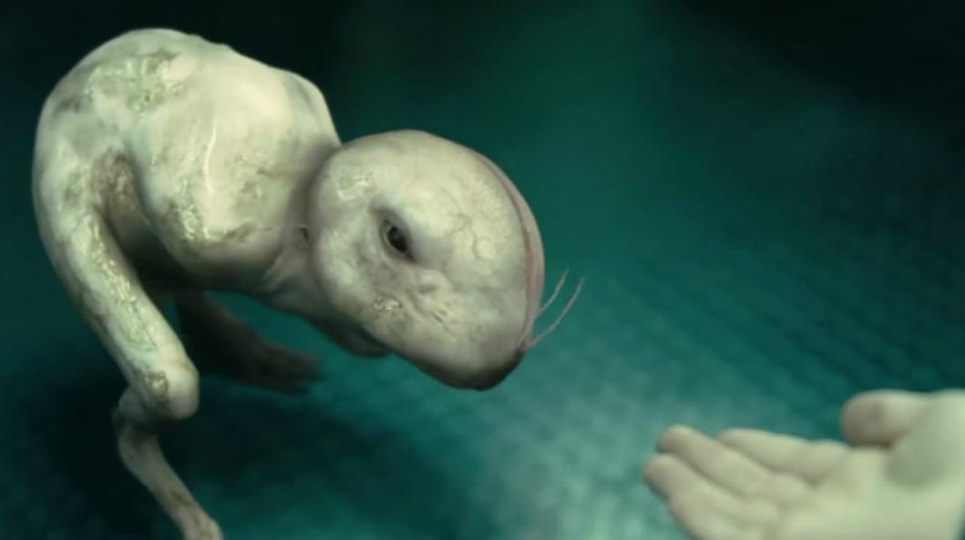 日本人兽杂交实验被允许，这是否违背伦理常纲？是创新还是灾难？