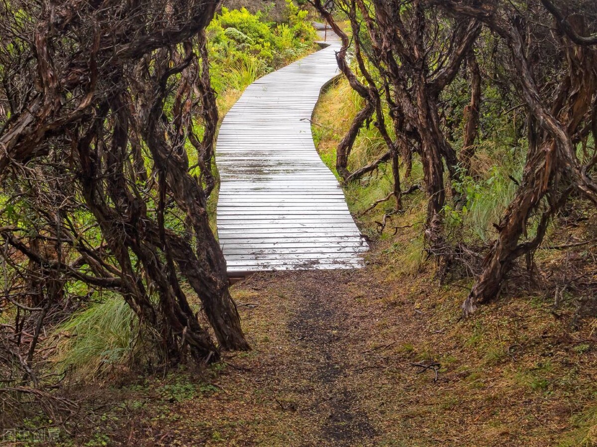 作业的育人功能有哪些,作业育人功能