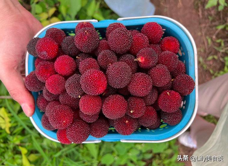 适合四五月份吃的应季水果,6月必吃的6种时令水果