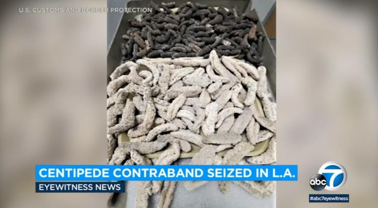 哪些违禁品美国禁止入关,美国海关禁止携带食品